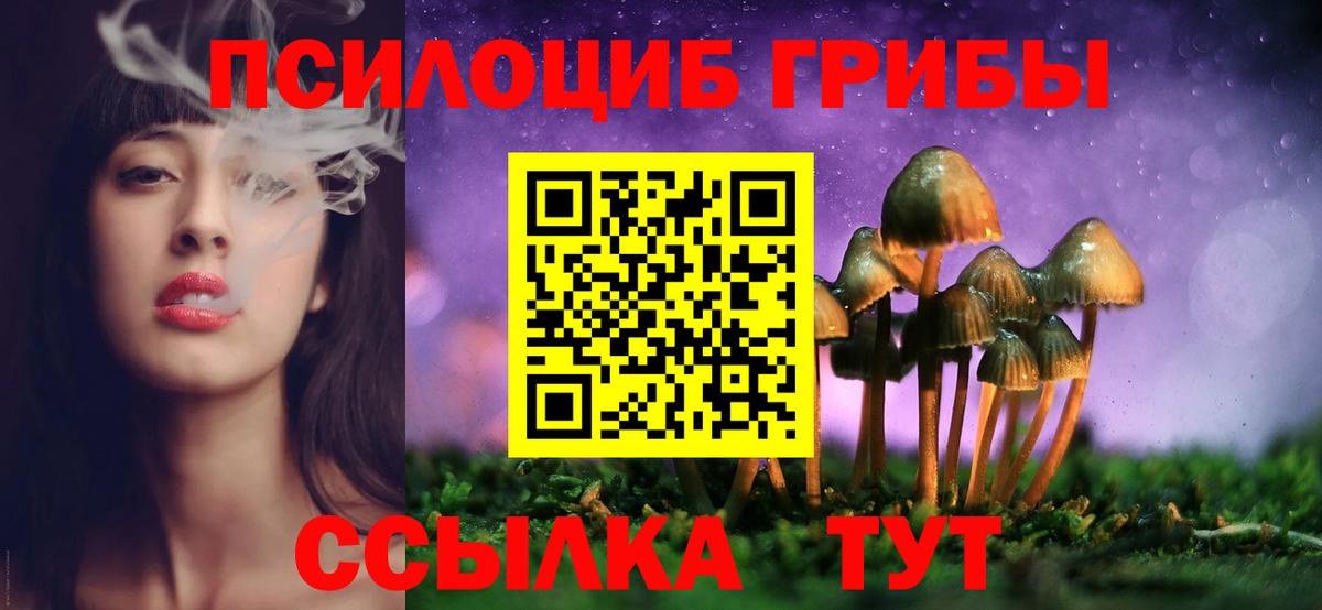 Галлюциногенные грибы MAGIC MUSHROOMS Тара