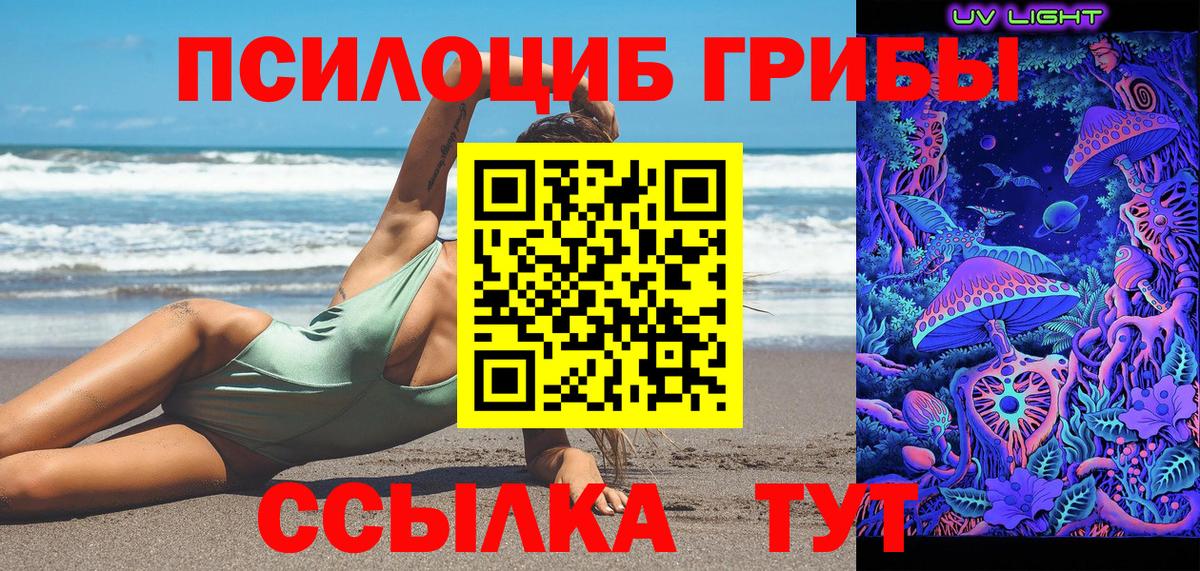 Галлюциногенные грибы GOLDEN TEACHER  что такое   Тара  Галлюциногенные грибы MAGIC MUSHROOMS  Вход с VPN 